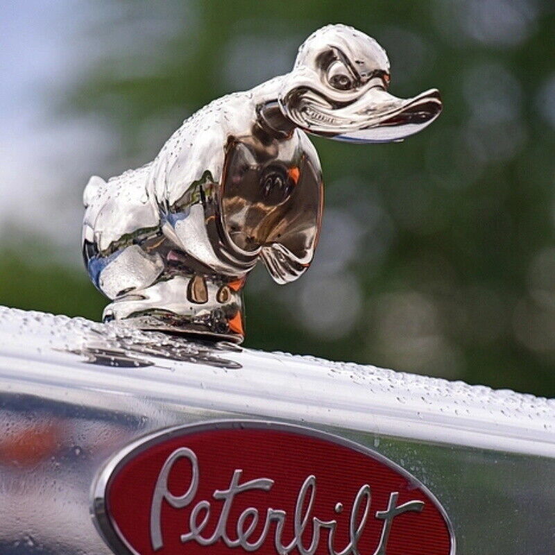 Hood Angry Duck Car Front Orna - Art Craft Duck incelemesi ve fiyatı