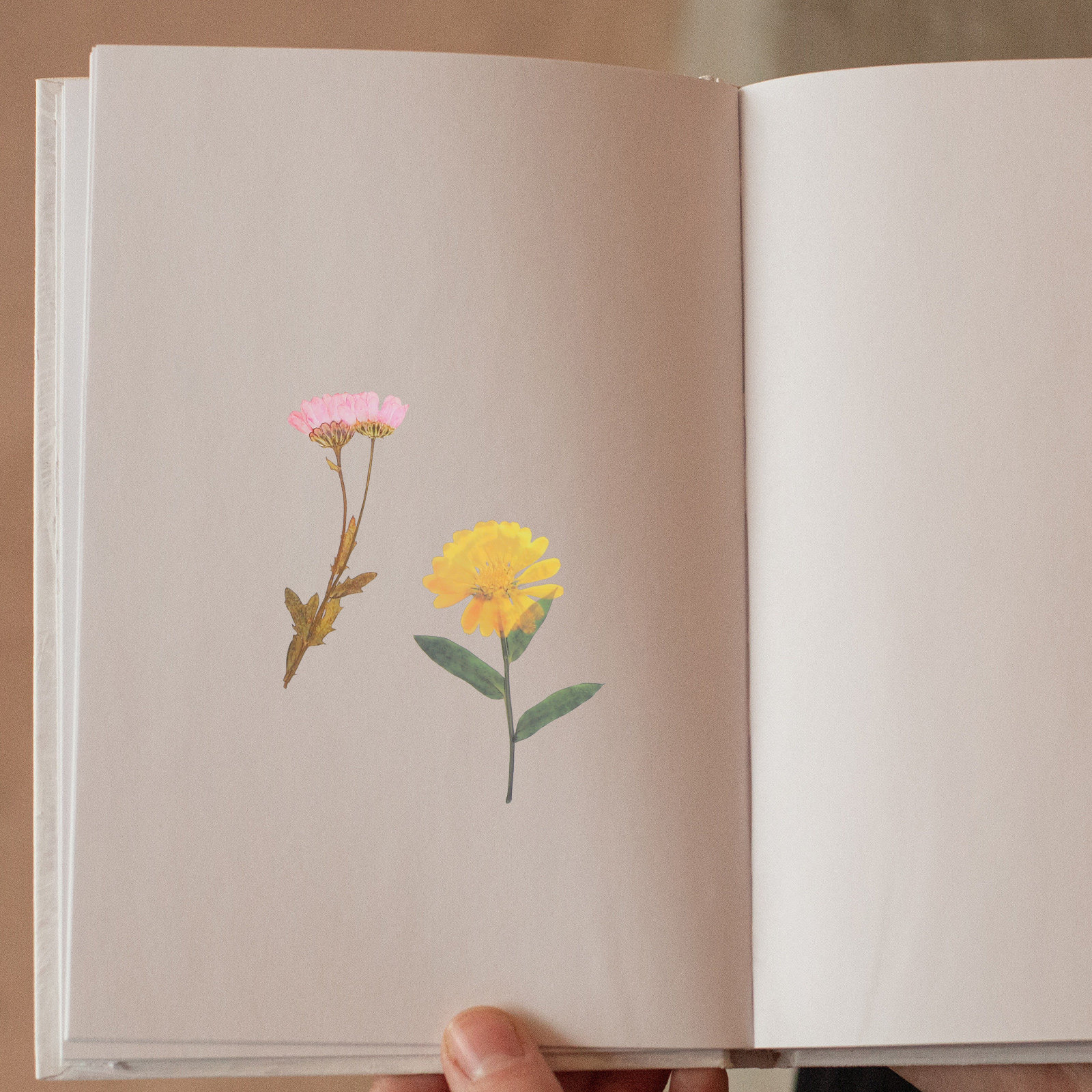 6 Packs Dried Flower Stickers  - Art Craft Journals incelemesi ve fiyatı