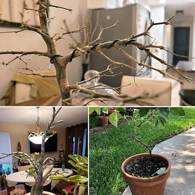 1mm Black Aluminum Bonsai Wire - Art Craft Wire incelemesi ve fiyatı