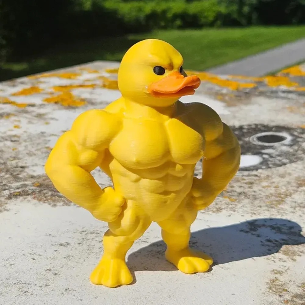 Muscle Duck Statue -3D Desktop - Art Craft Duck incelemesi ve fiyatı